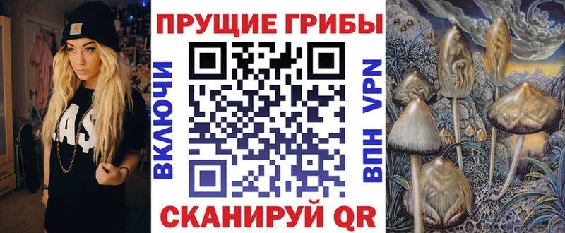 Галлюциногенные грибы прущие грибы Кола